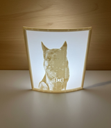 Lithophane Lichtbild 17cm